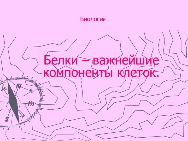 Биология 	Белки – важнейшие компоненты клеток.