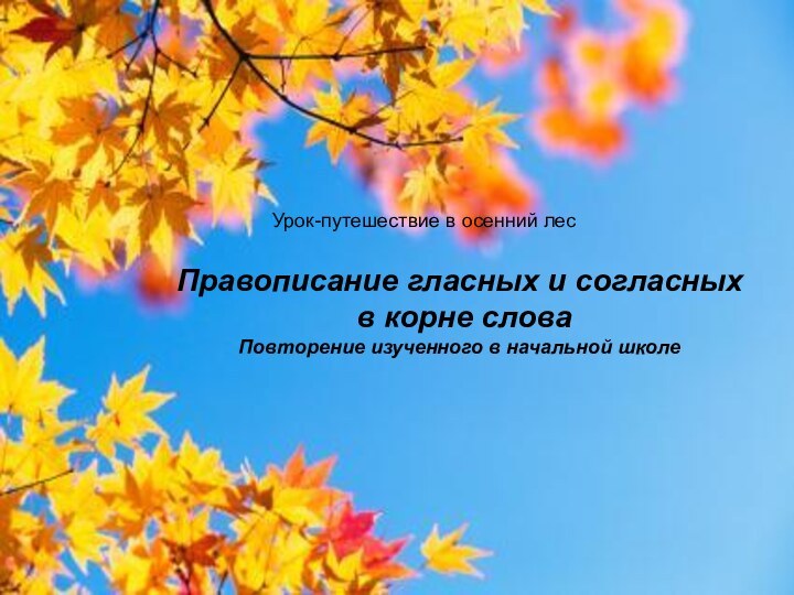 Правописание гласных и согласных в корне словаПовторение изученного в начальной школеУрок-путешествие в осенний лес