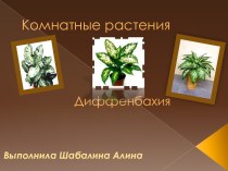 Комнатные растения. Диффенбахия
