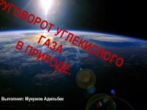 Круговорот углекислого газа