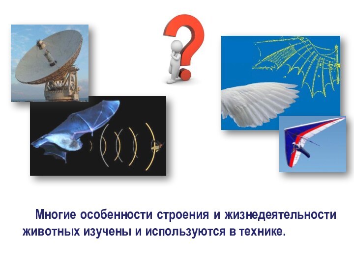 Многие особенности строения и жизнедеятельности животных изучены и используются в технике.