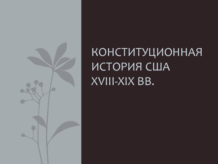 Конституционная история США XVIII-XIX вв.