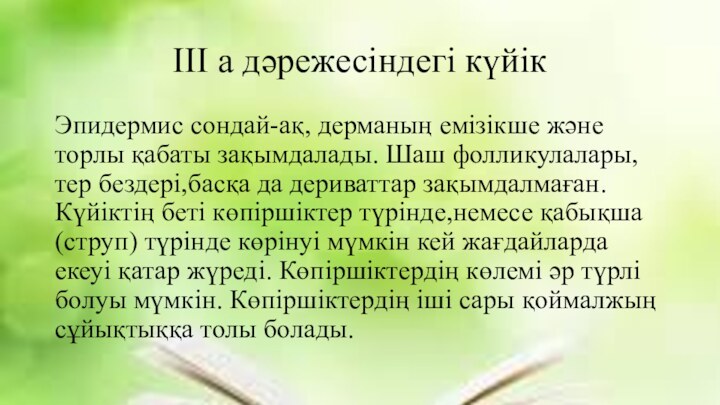 III а дәрежесіндегі күйікЭпидермис сондай-ақ, дерманың емізікше және торлы қабаты зақымдалады. Шаш