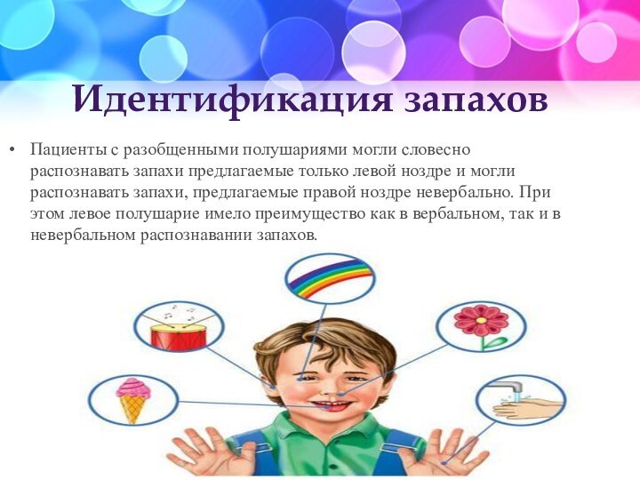 Идентификация запахов Пациенты с разобщенными полушариями могли словесно распознавать запахи предлагаемые только