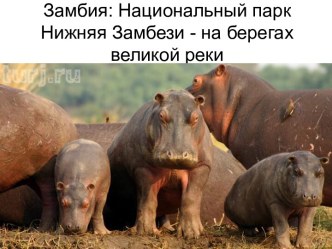 Национальный парк