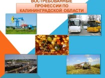 Востребованные профессии по Калининградской  области