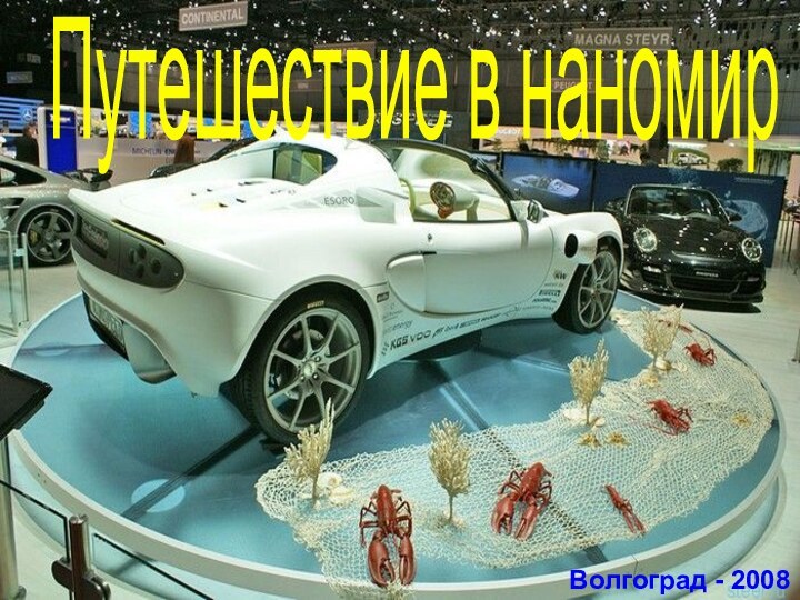 Путешествие в наномирВолгоград - 2008