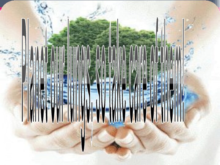 Planet our lungs, so take care of them!