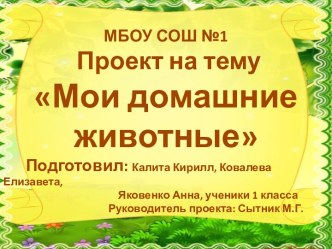 Мои домашние животные