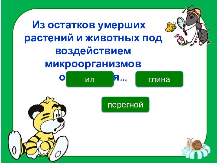 Из остатков умерших растений и животных под воздействием микроорганизмов образуется...перегнойилглина