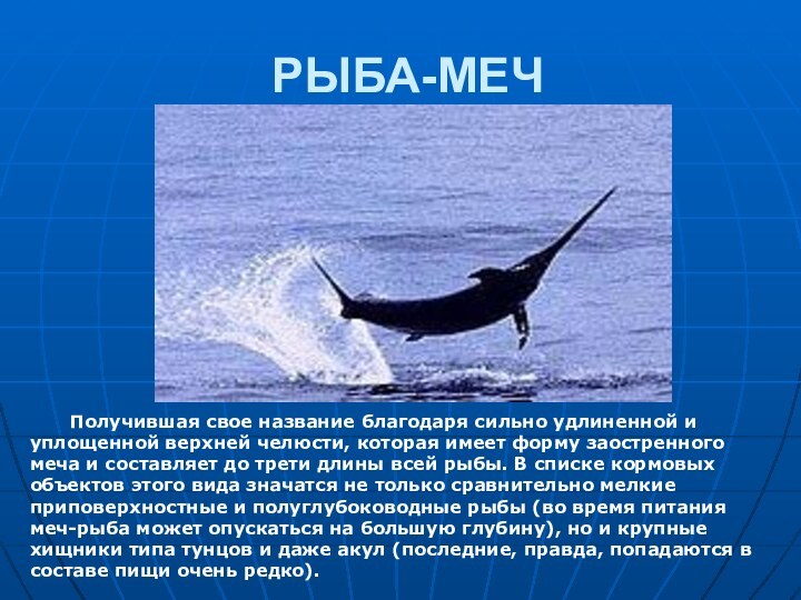 РЫБА-МЕЧ 	Получившая свое название благодаря сильно удлиненной и уплощенной верхней челюсти, которая