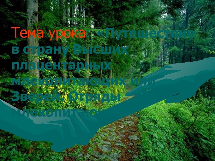 Тема урока: «Путешествие в страну Высших плацентарных млекопитающих или Зверей. Отряды млекопитающих».