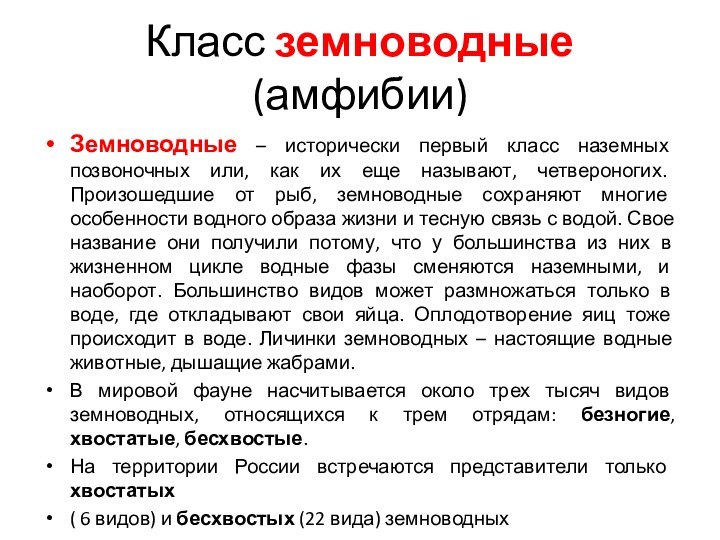 Класс земноводные (амфибии)Земноводные – исторически первый класс наземных позвоночных или, как их