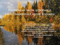 Деревья в стихотворениях С. Есенина
