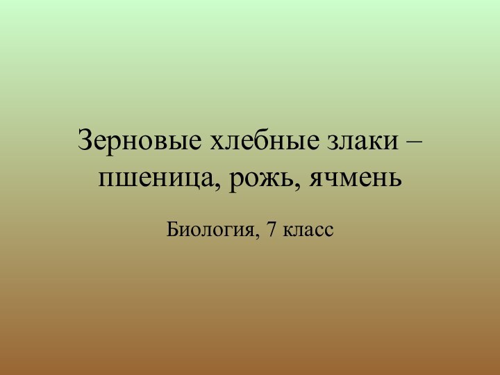 Зерновые хлебные злаки – пшеница, рожь, ячменьБиология, 7 класс