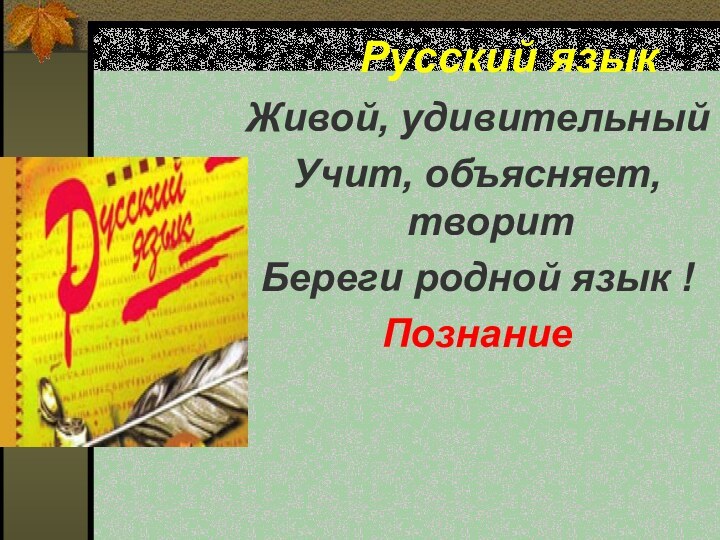 Русский языкЖивой, удивительныйУчит,