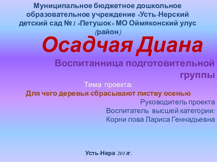 Муниципальное бюджетное дошкольное образовательное учреждение «Усть-Нерский детский сад №1 «Петушок»