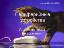 Периферийные устройства. Устройства ввода информации