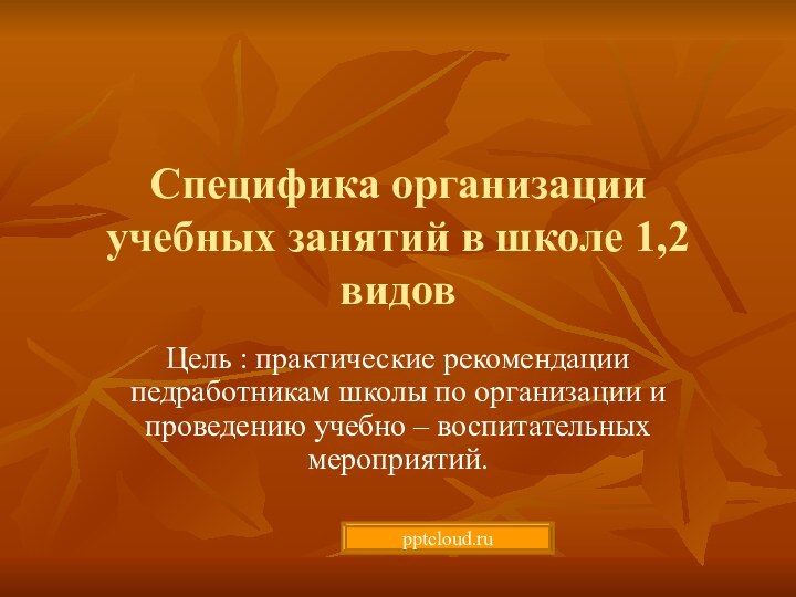 Специфика организации учебных занятий в школе 1,2 видовЦель : практические рекомендации педработникам