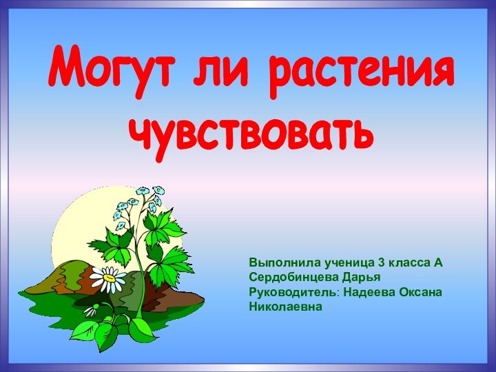 Могут ли растения чувствоватьВыполнила ученица 3 класса АСердобинцева ДарьяРуководитель: Надеева Оксана Николаевна