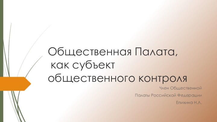 Общественная Палата,  как субъект общественного контроляЧлен Общественной Палаты Российской ФедерацииЕпихина Н.Л.