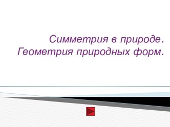 Симметрия в природе. Геометрия природных форм