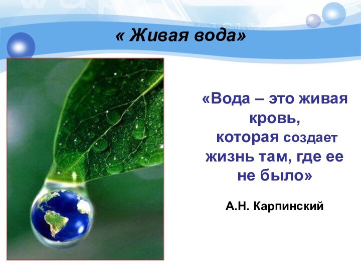 «Вода – это живая кровь,  которая создает жизнь там, где