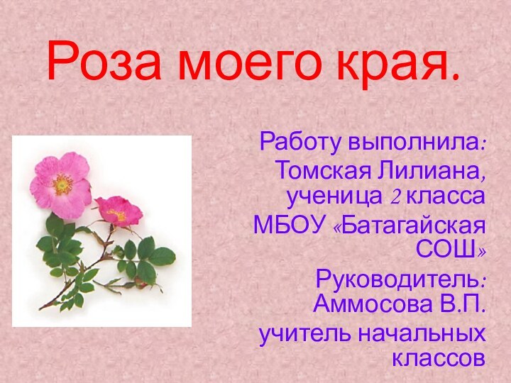 Роза моего края.Работу выполнила:Томская Лилиана, ученица 2 классаМБОУ «Батагайская СОШ»Руководитель: Аммосова В.П.учитель начальных классов