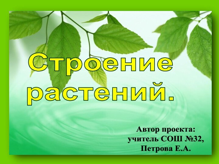 Строениерастений.Автор проекта: учитель СОШ №32,Петрова Е.А.