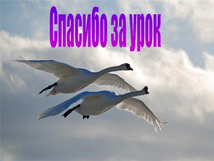 Спасибо за урок