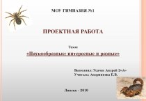 Паукообразные: интересные и разные