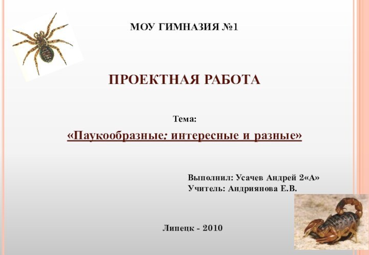 МОУ ГИМНАЗИЯ №1Выполнил: Усачев Андрей 2«А»Учитель: Андриянова Е.В.Липецк - 2010Тема: «Паукообразные: интересные