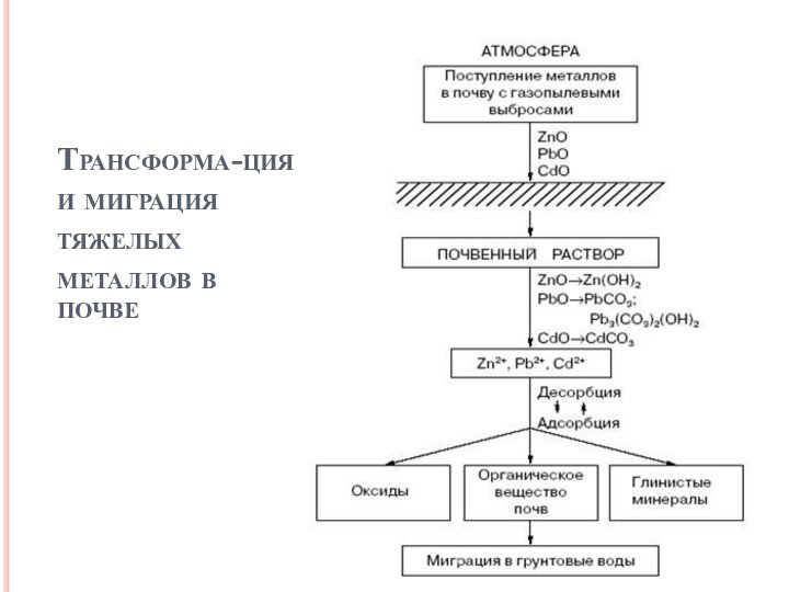 Трансформа-ция и миграция тяжелых металлов в почве