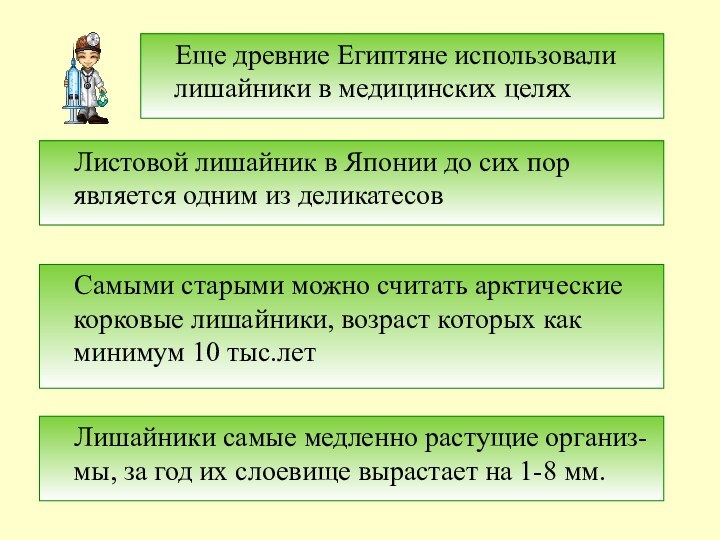 Еще древние Египтяне использовали лишайники в медицинских целях  Листовой