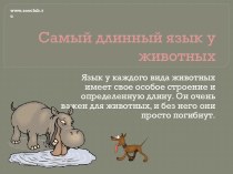 Самый длинный язык у животных