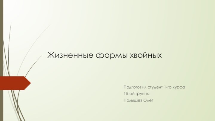 Жизненные формы хвойныхПодготовил студент 1-го курса15-ой группыПолышев Олег