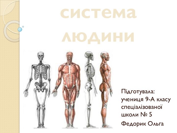 Опорно-рухова система людиниПідготувала:      учениця 9-А класу спеціалізованої