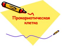 Прокариотическая клетка