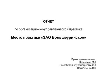 Отчет по организационно-управленческой практике