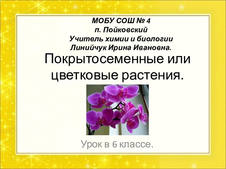 Покрытосеменные или цветковые растения.Урок в 6 классе.МОБУ СОШ № 4п. ПойковскийУчитель химии и биологииЛинийчук Ирина Ивановна.