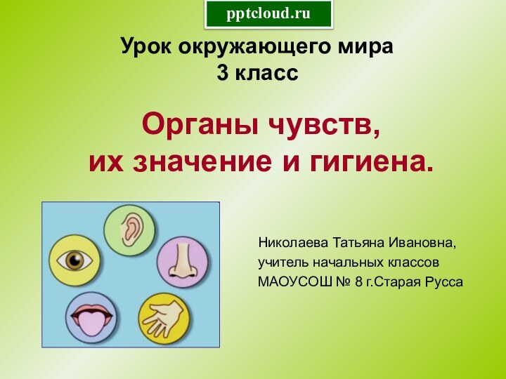 Органы чувств,  их значение и гигиена.Урок окружающего мира 3 классНиколаева Татьяна