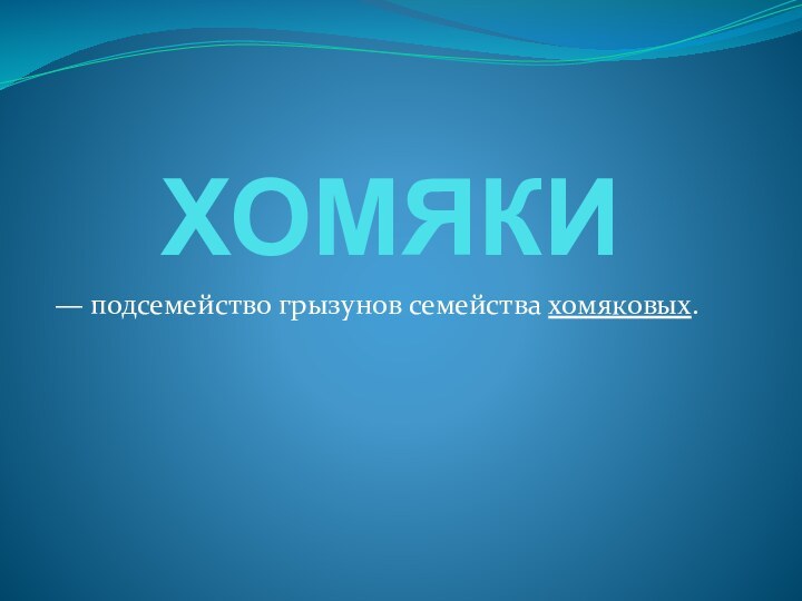 ХОМЯКИ — подсемейство грызунов семейства хомяковых.