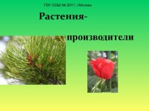 Растения-производители