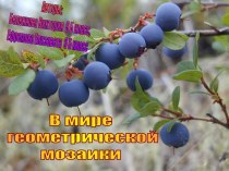 В мире геометрической мозаики