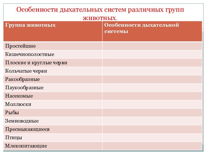 Особенности дыхательных систем различных групп животных.