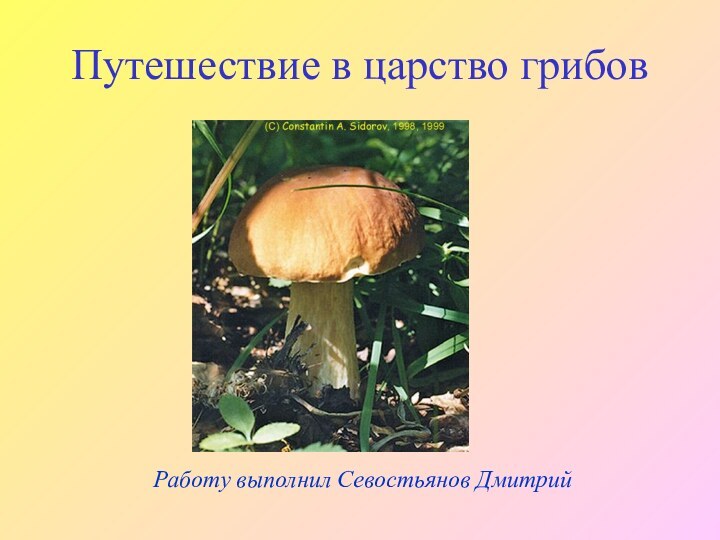 Работу выполнил Севостьянов ДмитрийПутешествие в царство грибов
