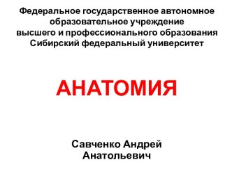 Анатомия