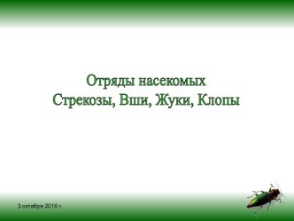 Отряды насекомых Стрекозы, Вши, Жуки, Клопы