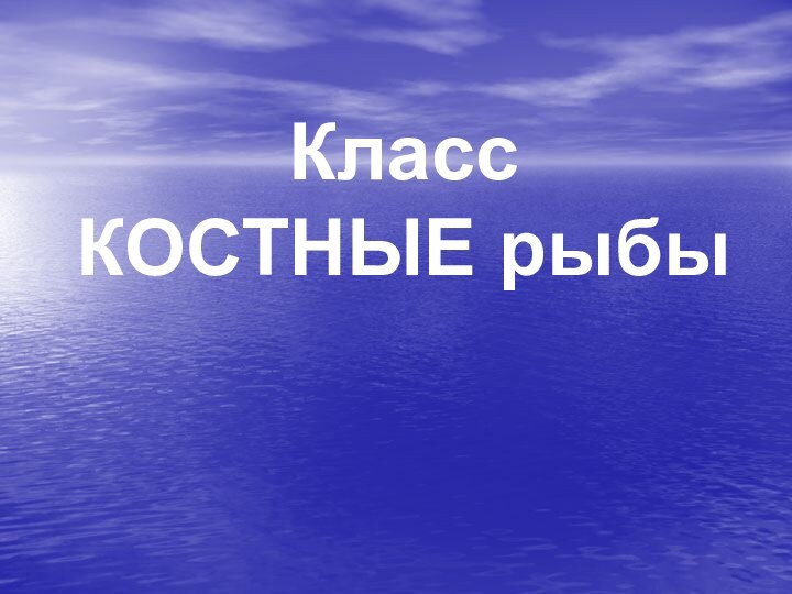 Класс  КОСТНЫЕ рыбы