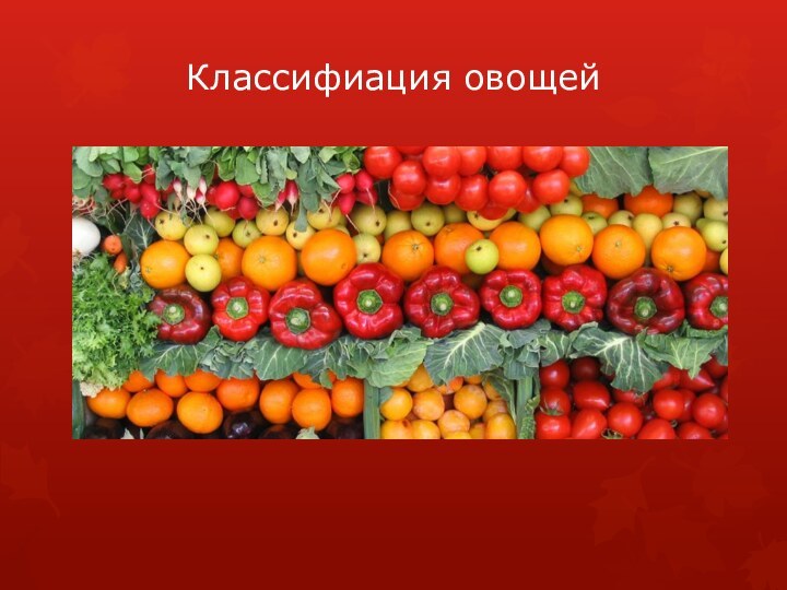 Классифиация овощей